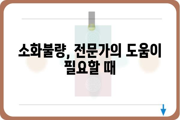 소화불량 해결, 이제 걱정하지 마세요! | 소화 안 될 때, 원인과 증상, 해결 방법 총정리