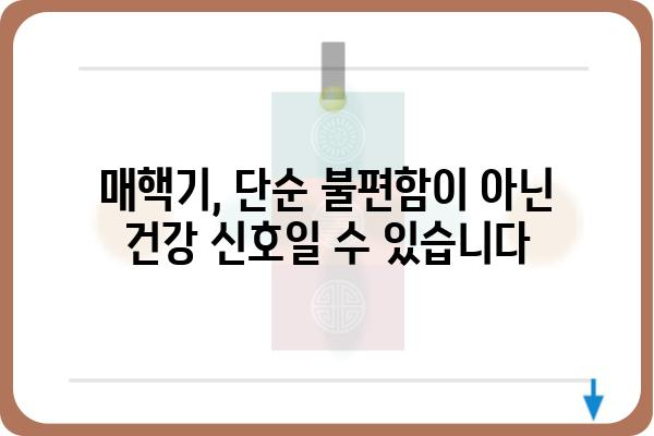 매핵기 치료| 원인 분석부터 효과적인 관리법까지 | 매핵기, 목 이물감, 치료, 관리