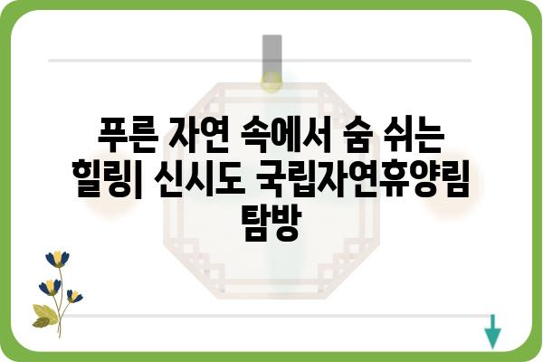 신시도 국립자연휴양림| 자연 속 힐링 여행, 완벽 가이드 | 충남 서천, 캠핑, 등산, 산책, 가족여행