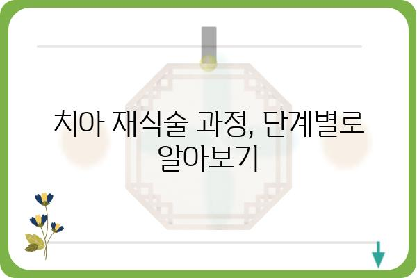 치아 재식술, 성공적인 치료를 위한 모든 것 | 치아 재식술 정보, 과정, 주의사항, 비용