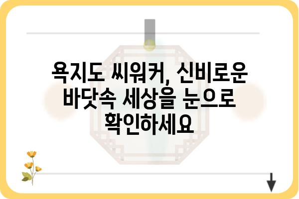 욕지도 씨워커 체험| 숨 막힐 듯 아름다운 바닷속 세상 | 욕지도, 씨워커, 스노클링, 해양 체험, 바다 탐험