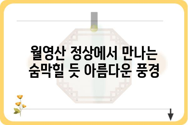 신시도 월영산 등반 코스 추천 & 팁 | 완벽 가이드, 풍경 명소, 난이도