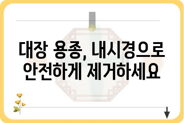 대장 용종 제거 수술 코드|  내시경 검사부터 회복까지 | 대장 용종, 내시경, 수술, 회복