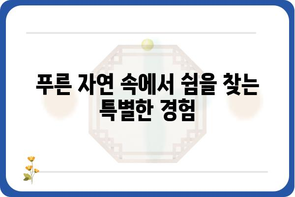 신시도 자연휴양림 숲 속의 집| 편안한 휴식과 자연 체험 | 숙박 정보, 예약, 주변 관광