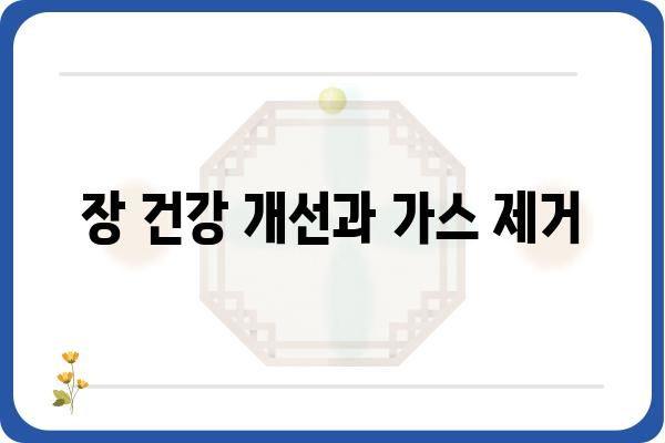 배에 가스가 차는 이유 7가지| 원인과 해결책 | 소화불량, 복부팽만, 장 건강