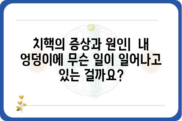 치핵 증상과 치료| 알아야 할 모든 것 | 치핵, 항문 질환, 치료 방법, 예방, 관리