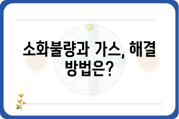 복부팽만감 해소를 위한 5가지 방법 | 소화불량, 가스, 배불러, 원인, 해결