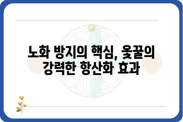 옻꿀의 놀라운 효능 7가지 | 면역력 강화, 피부 개선, 항산화 효과