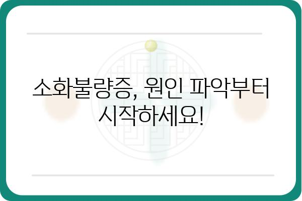 소화불량증, 이제 걱정하지 마세요! | 원인부터 해결책까지 완벽 가이드