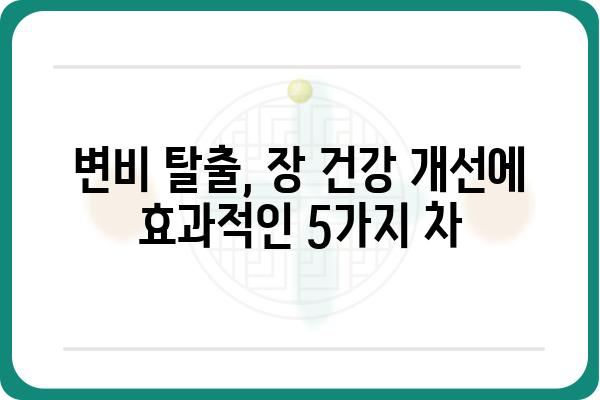 대장 건강에 좋은 차 5가지 | 변비, 장 건강, 차 종류, 효능