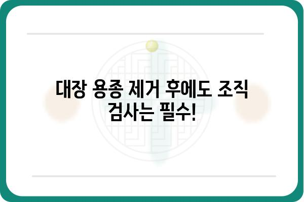 대장 용종, 악성 여부는 어떻게 판단할까요? | 대장 용종, 대장암, 내시경 검사, 조직 검사