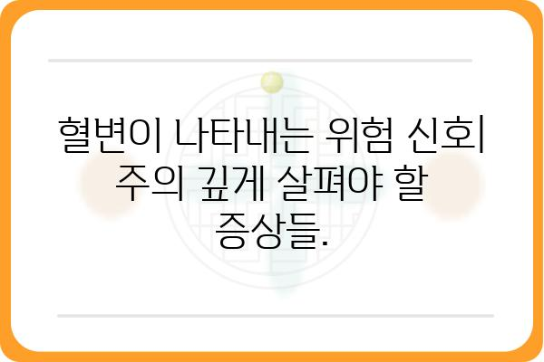 혈변 원인과 증상| 놓치면 안 될 중요한 신호 | 건강, 위험, 진단, 치료