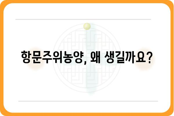 항문주위농양| 원인, 증상, 치료 | 항문 질환, 농양, 치료법, 예방