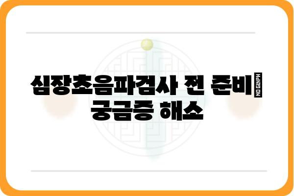 심장초음파검사, 궁금한 모든 것 | 종류, 준비사항, 결과 해석, 주의사항