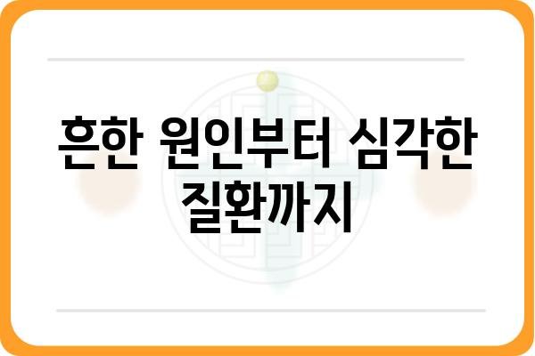 항문출혈 원인과 증상| 알아야 할 모든 것 |  대장 항문 질환, 출혈 원인, 치료 방법, 생활 습관