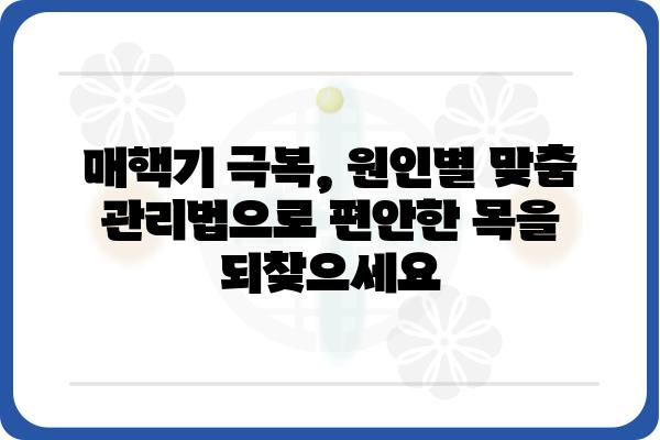 매핵기 치료| 원인 분석부터 효과적인 관리법까지 | 매핵기, 목 이물감, 치료, 관리