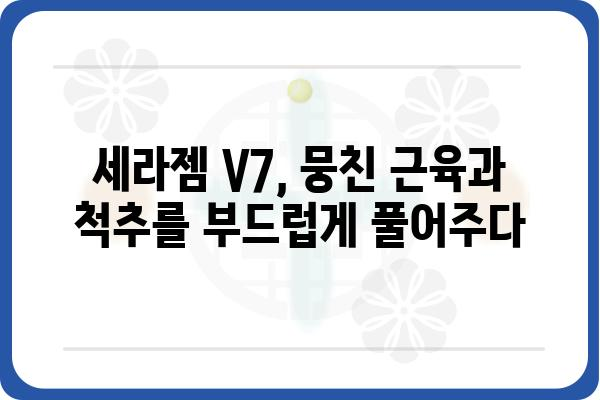 세라젬 V7 마사지 체험 후기| 척추 건강과 힐링을 찾다 | 세라젬 V7, 마사지 효과, 건강 관리, 후기, 체험