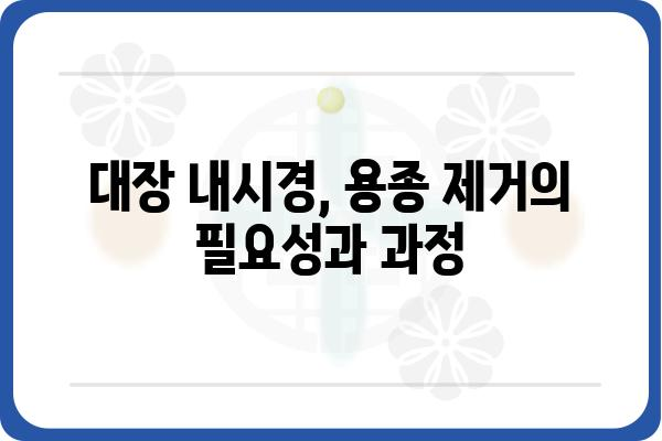 대장 용종 폴립, 코드로 알아보는 종류와 특징 | 대장 내시경, 용종 제거, 폴립 진단