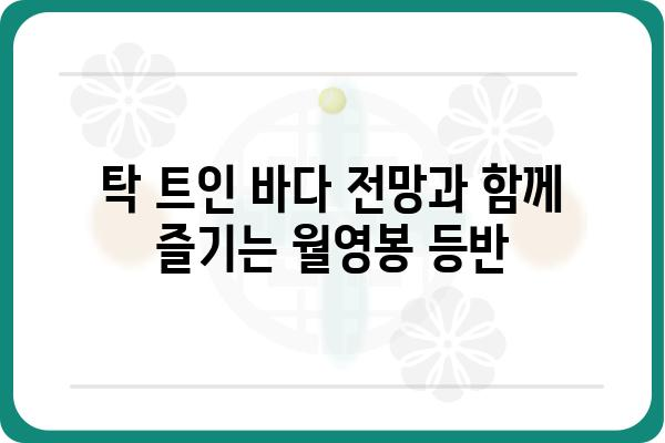 신시도 월영봉 등반 코스 추천| 초보 등산객을 위한 완벽 가이드 | 신시도, 월영봉, 등산, 코스, 가이드, 초보