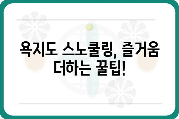 통영 욕지도 스노쿨링 명소 & 팁| 숨겨진 비경을 찾아 떠나요! | 욕지도 스노쿨링, 통영 여행, 바다 액티비티