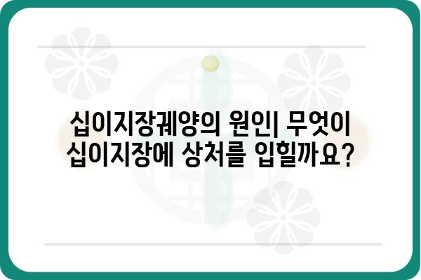 십이지장궤양, 원인부터 치료까지| 알아야 할 모든 것 | 소화불량, 위 통증, 십이지장, 증상, 치료법, 예방