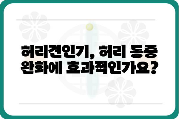 허리견인기 사용 가이드 | 허리 통증 완화, 재활 운동, 안전 사용법, 주의 사항