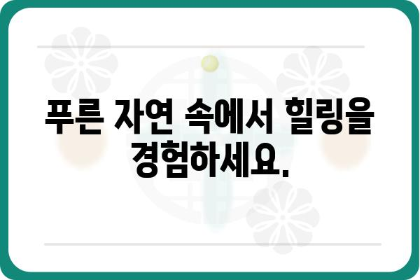 신시도 국립자연휴양림 휴양관| 편안한 휴식과 자연을 만끽하세요 | 신시도, 국립자연휴양림, 숙박, 객실 정보, 예약