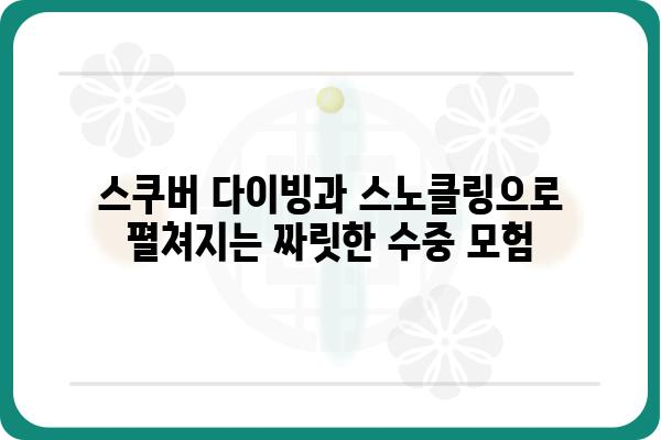 욕지도 수중여행| 숨겨진 아름다움을 만나다 | 스쿠버 다이빙, 스노클링, 섬 여행, 바다 탐험