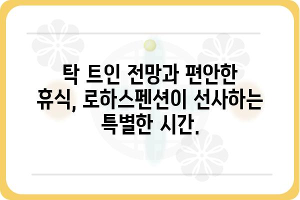 욕지도 로하스펜션| 힐링과 휴식을 위한 완벽한 선택 | 남해, 펜션, 숙박, 여행, 추천