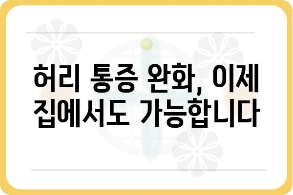 허리 통증 완화 운동 루틴 | 허리아플때운동, 집에서 하는 운동, 허리 근력 강화