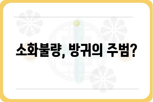 방귀가 자주 나오는 이유| 원인과 해결책 | 소화불량, 식습관, 건강 팁