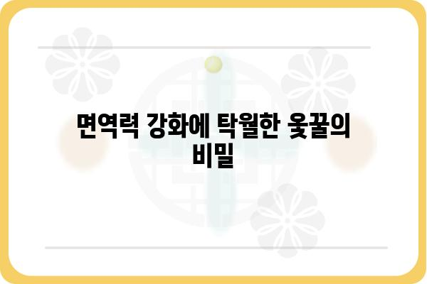 옻꿀의 놀라운 효능 7가지 | 면역력 강화, 피부 개선, 항산화 효과