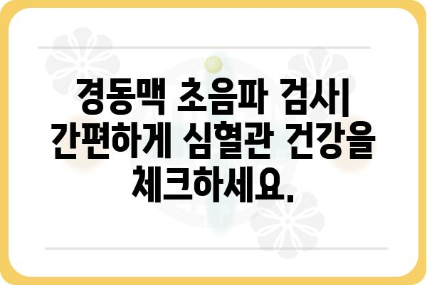 경동맥 초음파 검사| 건강 지표, 과정, 주의사항 | 뇌졸중, 심혈관 질환, 건강검진