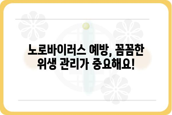 노로바이러스 감염, 예방부터 관리까지 완벽 가이드 | 위생, 증상, 치료, 식품 안전