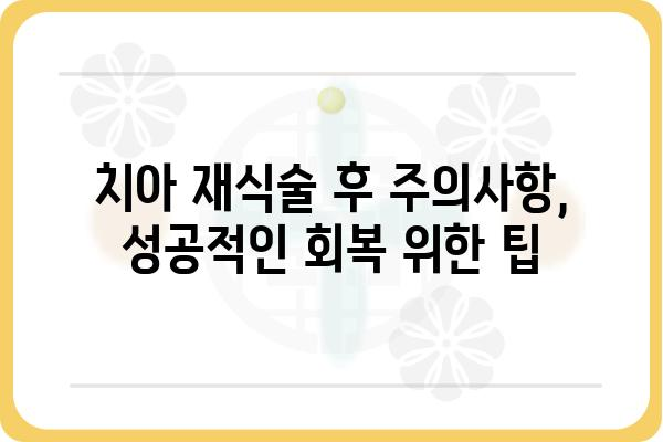 치아 재식술, 성공적인 치료를 위한 모든 것 | 치아 재식술 정보, 과정, 주의사항, 비용