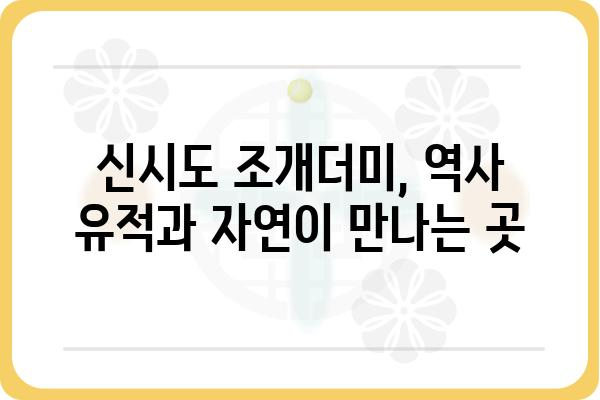 군산 신시도 조개더미| 역사와 문화를 담은 조개껍질 유적지 | 군산 여행, 역사 유적, 조개더미