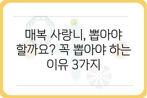 매복사랑니, 뽑아야 할까요? 말아야 할까요? | 매복 사랑니, 발치, 치과, 통증, 치료, 관리