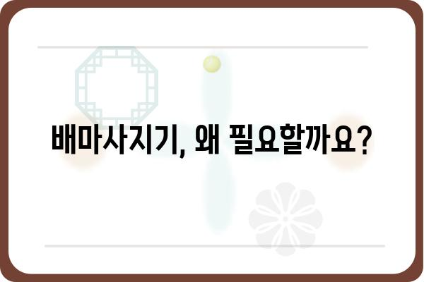 배마사지기 추천 가이드| 나에게 딱 맞는 제품 찾기 | 배마사지, 마사지기, 건강, 통증 완화, 효과