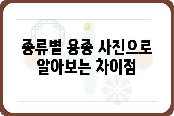 대장 용종 사진| 종류별 모양과 특징 비교 | 대장 내시경, 용종 제거, 건강 검진