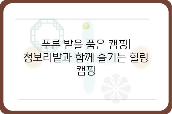 욕지도 청보리 오토캠핑장 완벽 가이드 | 캠핑 정보, 예약, 주변 관광, 꿀팁