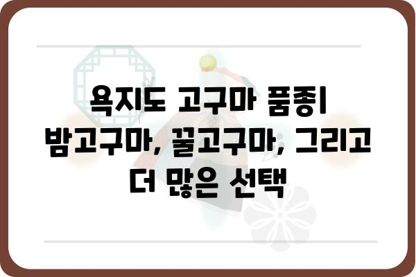 욕지도 고구마, 밤고구마 가격 비교 & 최신 정보 | 욕지도 특산물, 고구마 품종, 농장 정보