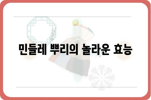 민들레의 놀라운 효능| 건강, 미용, 그리고 환경까지! | 민들레 효능, 민들레 차, 민들레 뿌리 효능, 민들레 먹는 법, 민들레 효능 부작용