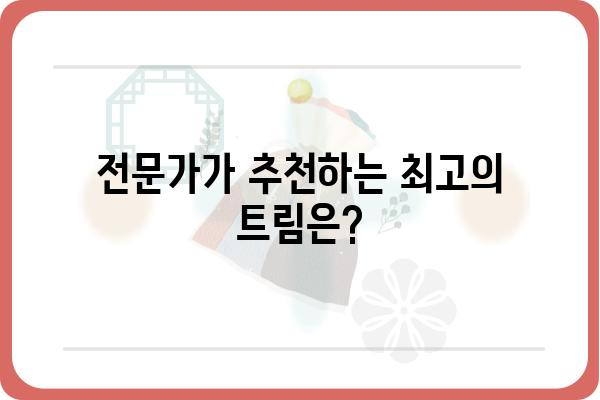 자동차 트림, 나에게 딱 맞는 선택은? | 자동차, 트림 비교, 옵션, 가격, 추천