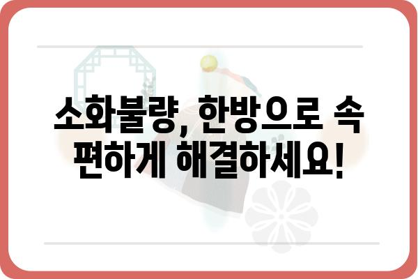 소화불량 해결사! 효과적인 한방 소화제 종류와 선택 가이드 | 소화불량, 한약, 소화제, 건강