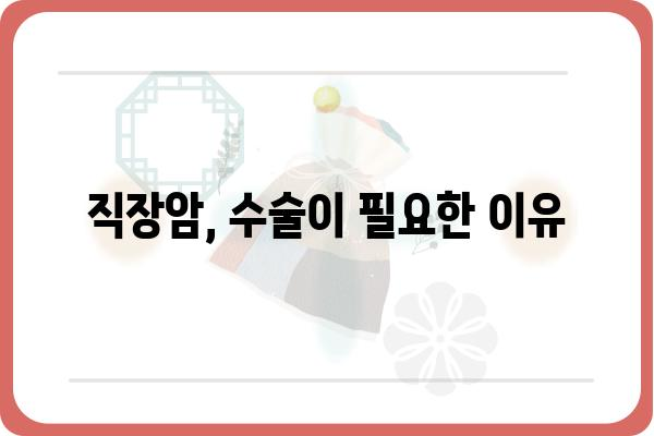 직장류수술| 알아야 할 모든 것 | 직장암, 수술 방법, 회복 과정, 주의 사항, 관련 질환