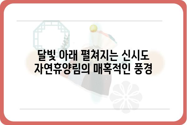 신시도 자연휴양림 하현달 풍경| 밤하늘 아래 펼쳐지는 아름다움 | 신시도, 자연휴양림, 달빛, 여행, 풍경 사진