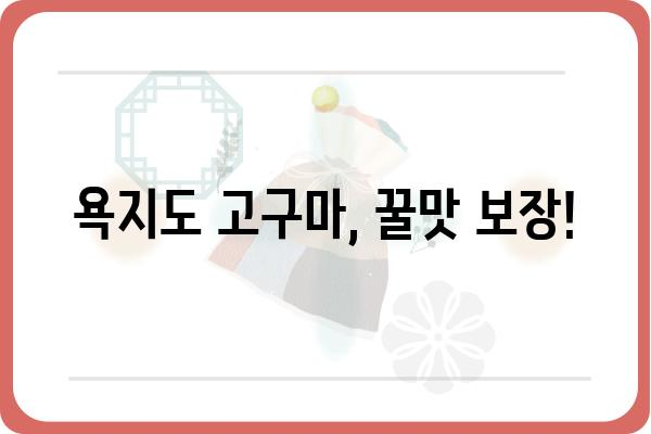 욕지도 고구마, 맛과 영양 가득! 믿을 수 있는 판매처 찾기 | 욕지도 고구마, 농장 직거래, 택배 주문, 선물