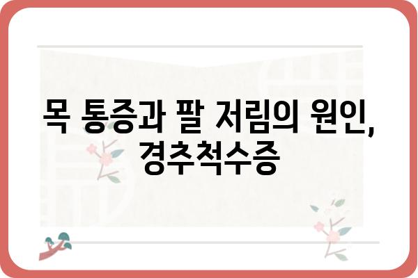 경추척수증 이해하기| 증상, 원인, 치료 및 예방 | 목 통증, 팔 저림, 신경 손상