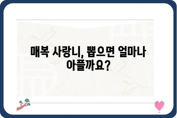 매복사랑니, 뽑아야 할까요? 말아야 할까요? | 매복 사랑니, 발치, 치과, 통증, 치료, 관리