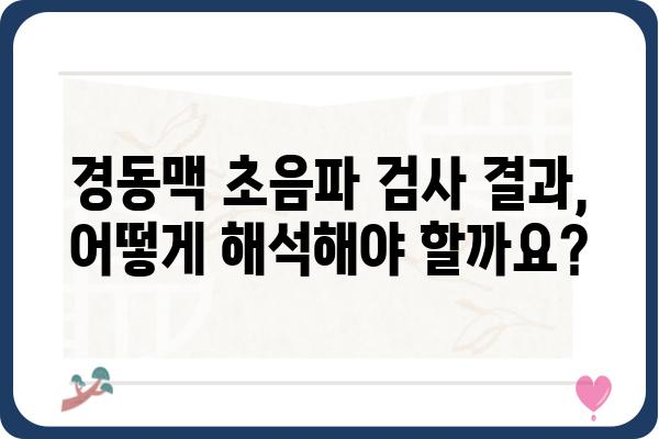 경동맥 초음파 검사, 어디서 받아야 할까요? | 경동맥 초음파 병원, 검사 비용, 예약 정보